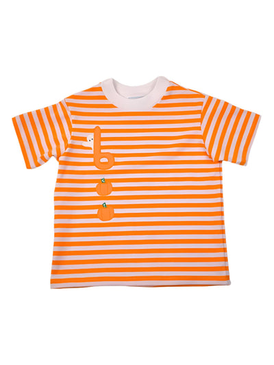 Orange and white striped shirt with a applique design, short sleeves, crew neck