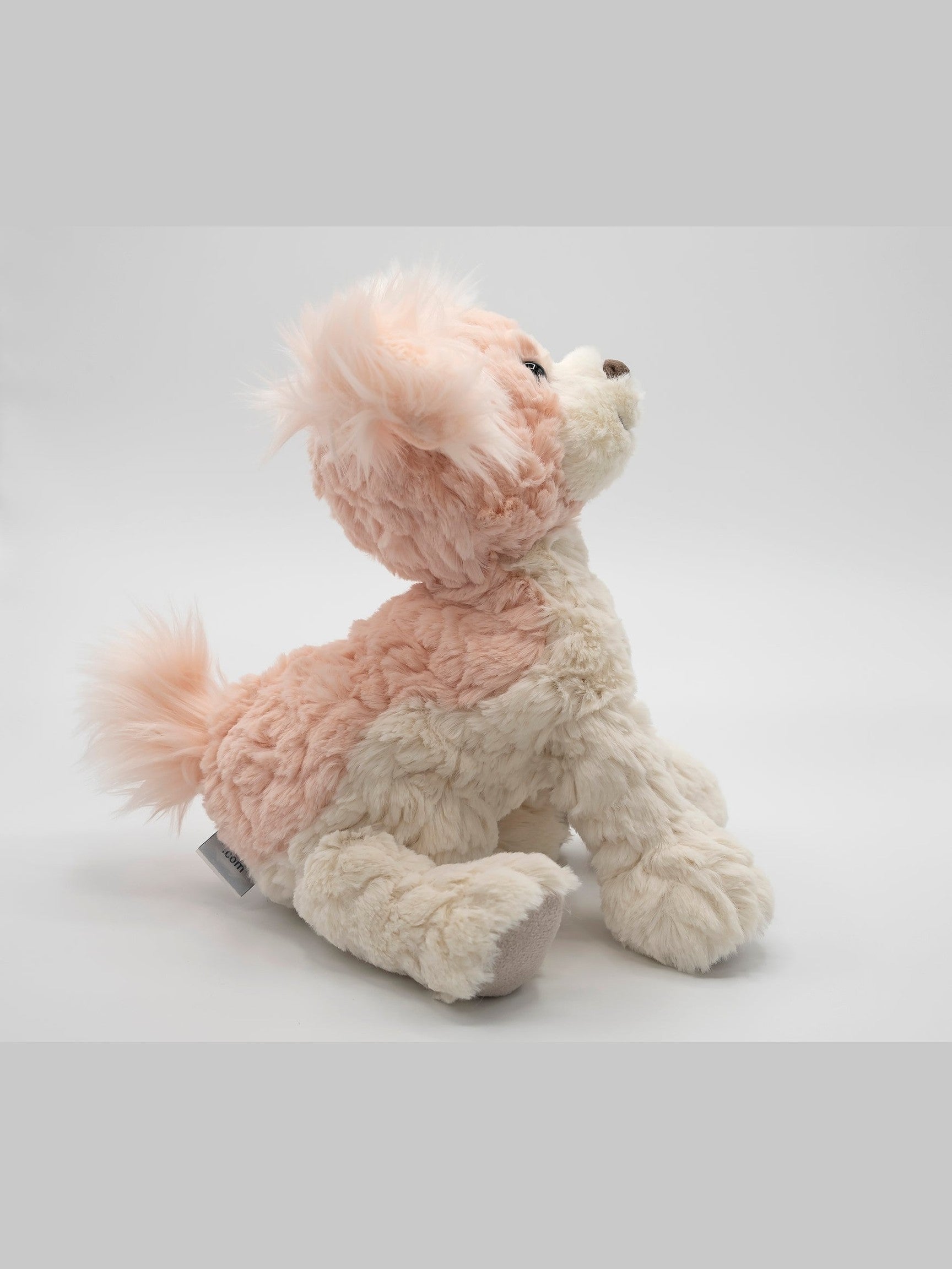 Paris Putty Puppy
