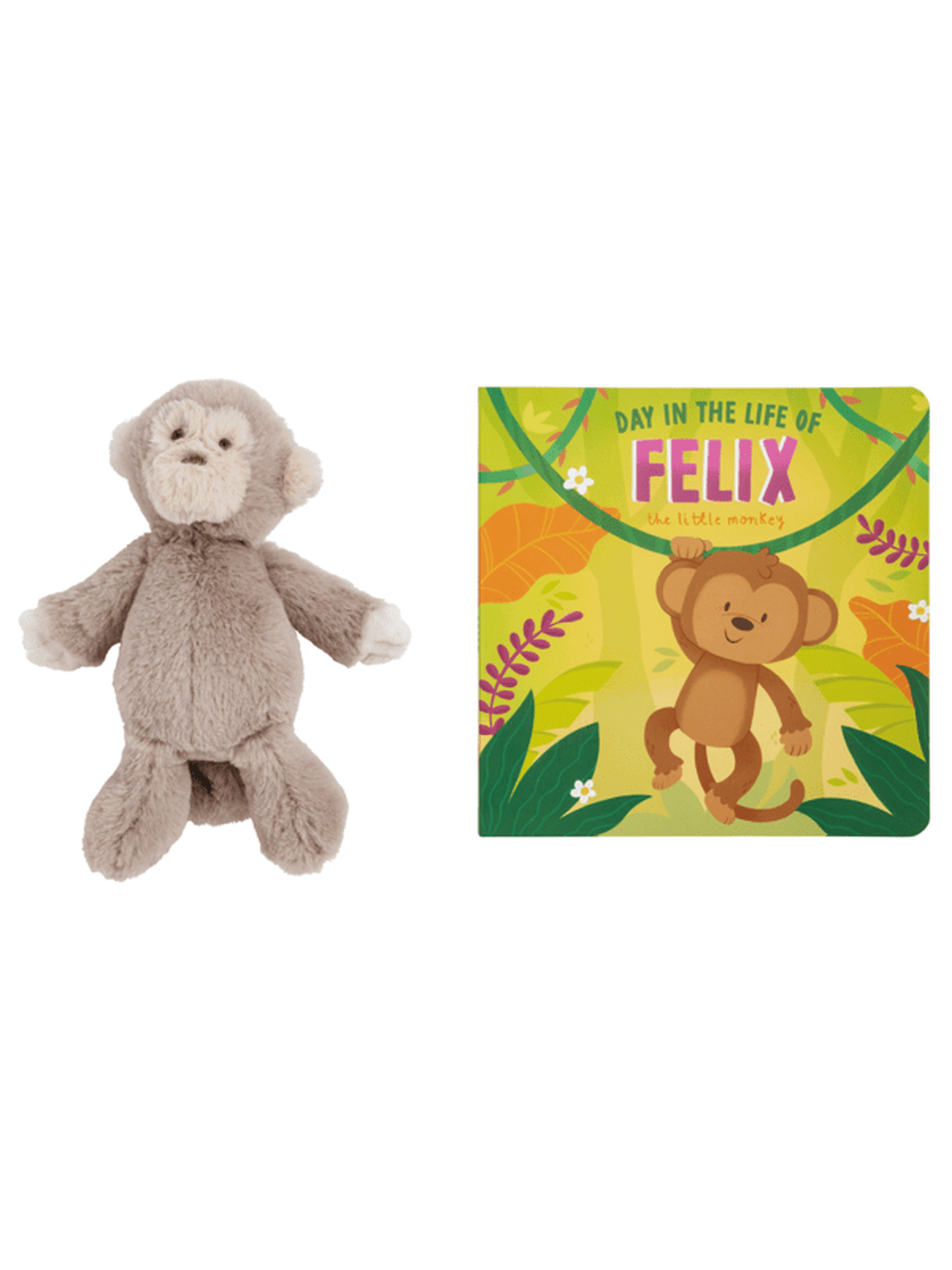 Plush Monkey & Book