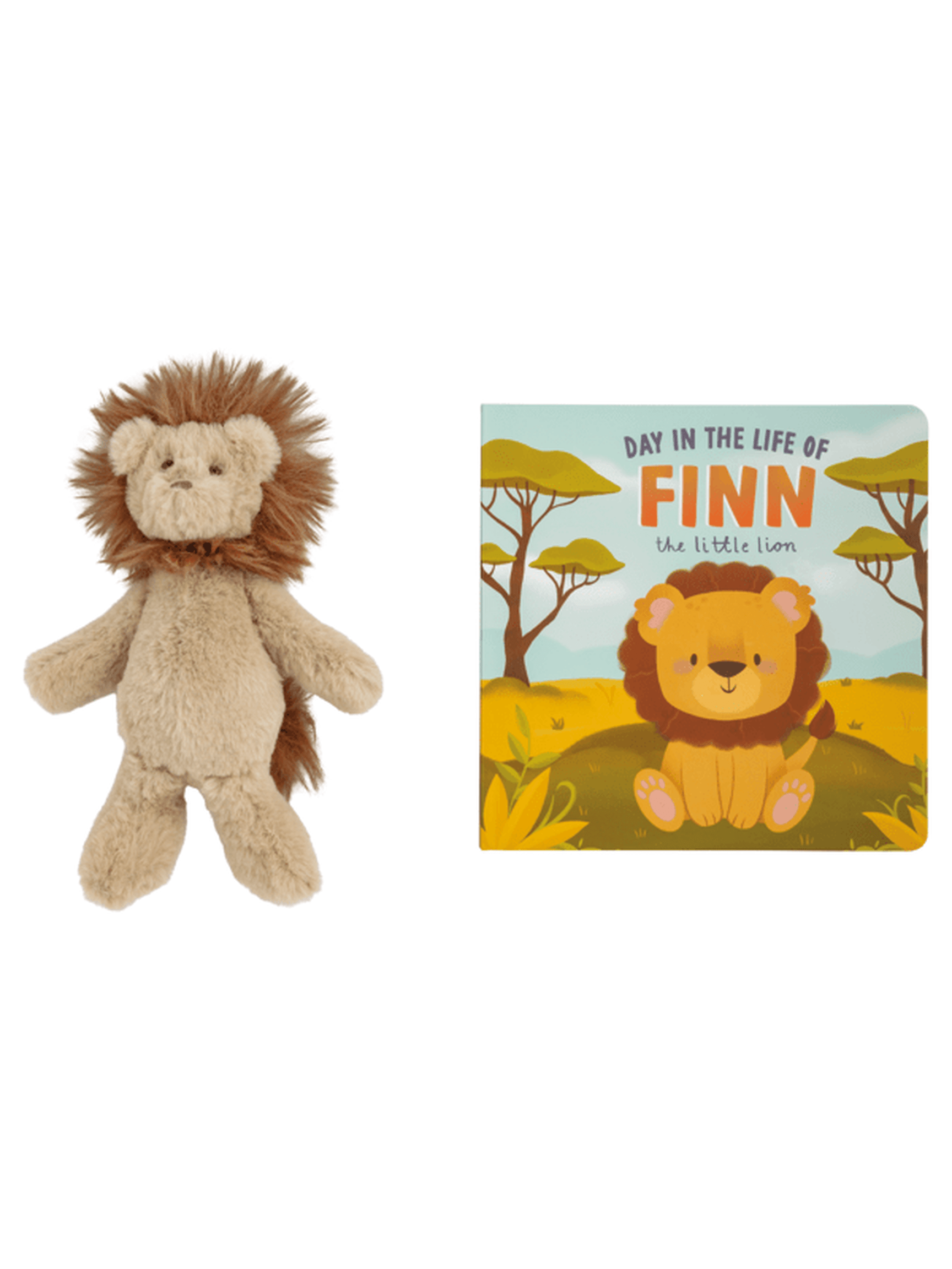 Plush Lion & Book