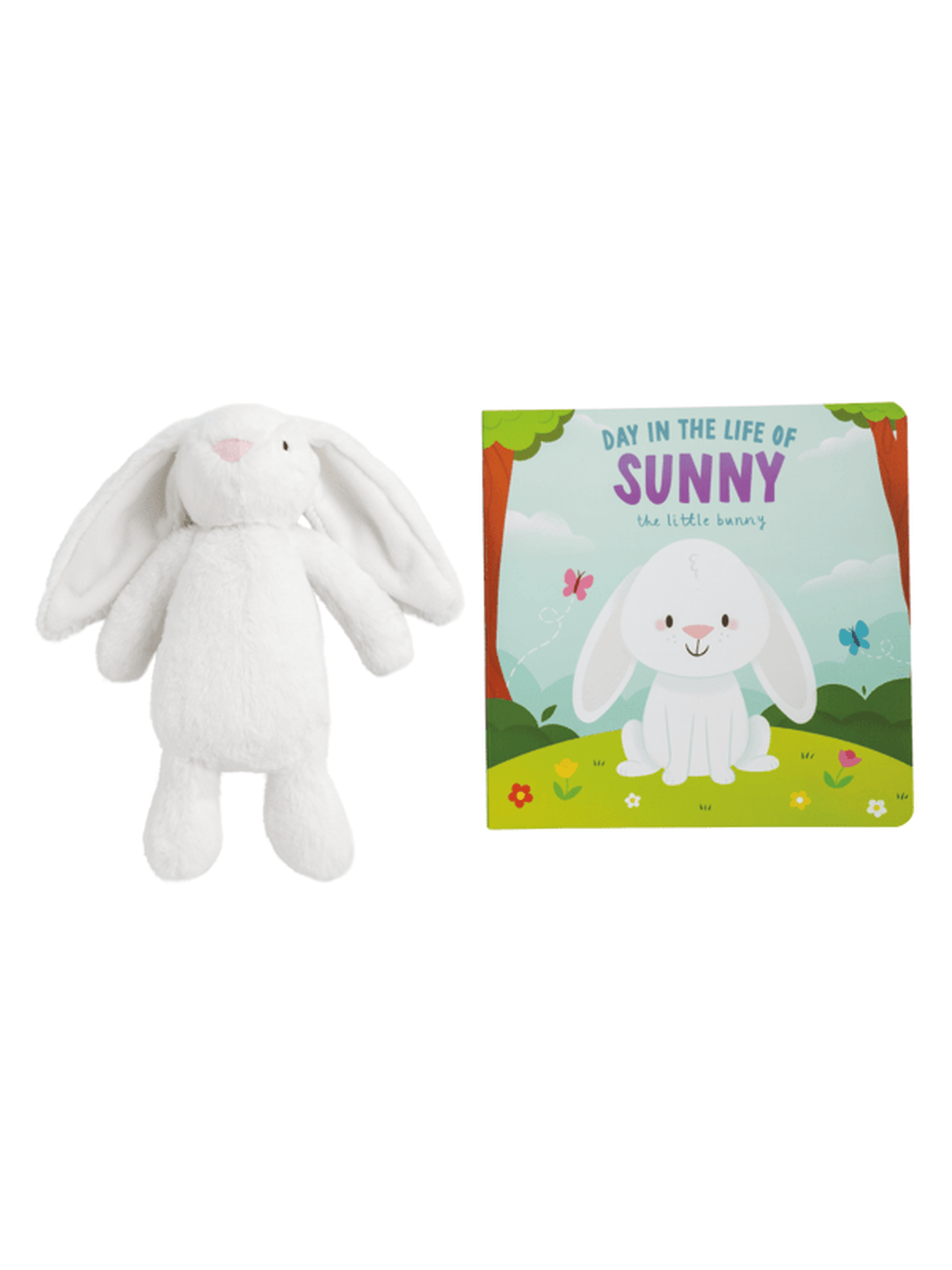 Plush Bunny Book