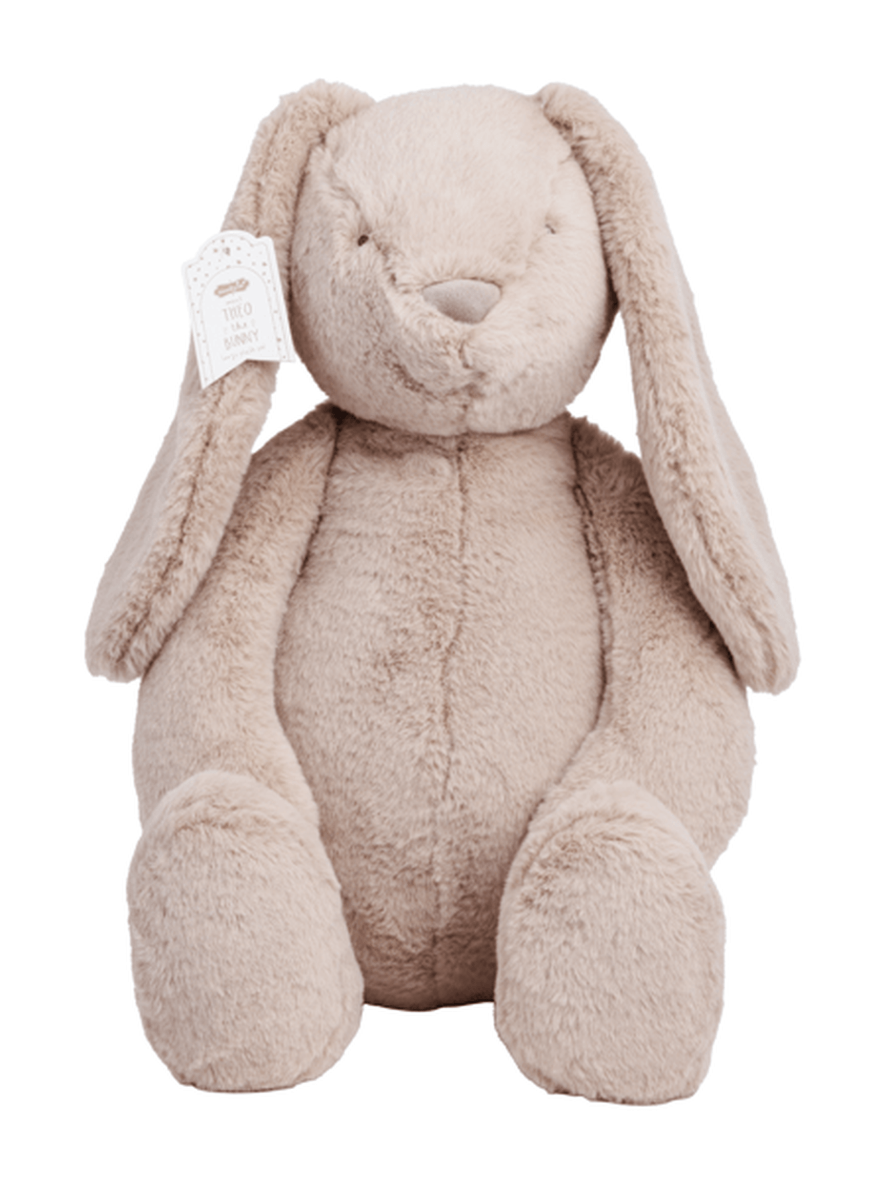 Theo The Bunny Large Plush Pal