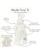 Bun Bun Bunny Bye Bye Buddy