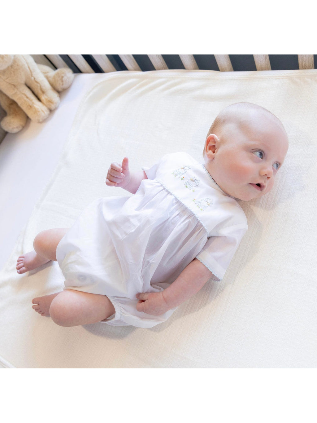 Lambikins Bubble - Blue - Posh Tots Children's Boutique