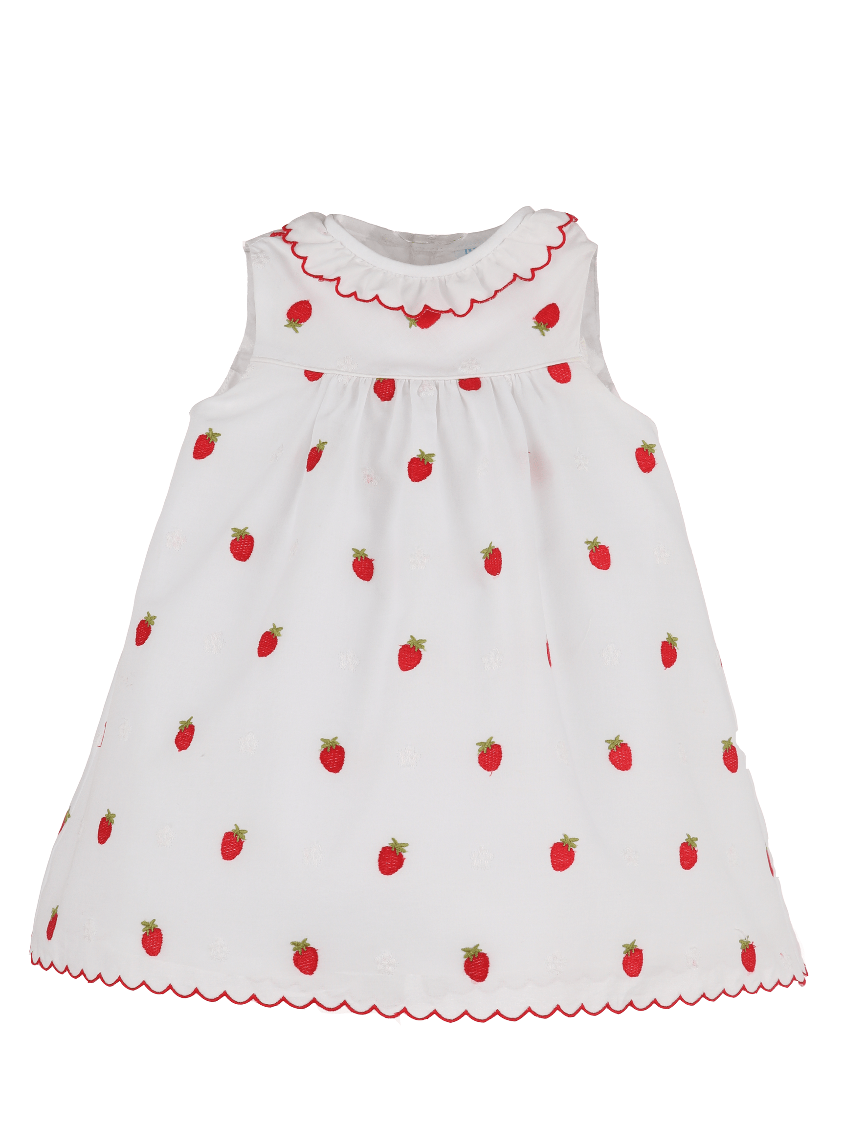 Embroidered Strawberries Float Dress