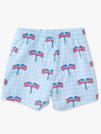Boys Blue Patriotic Gingham Performance Hybrid Swim Trunks