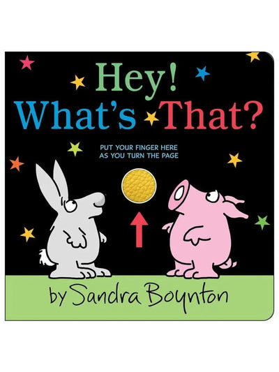 Hey! What's That? Book