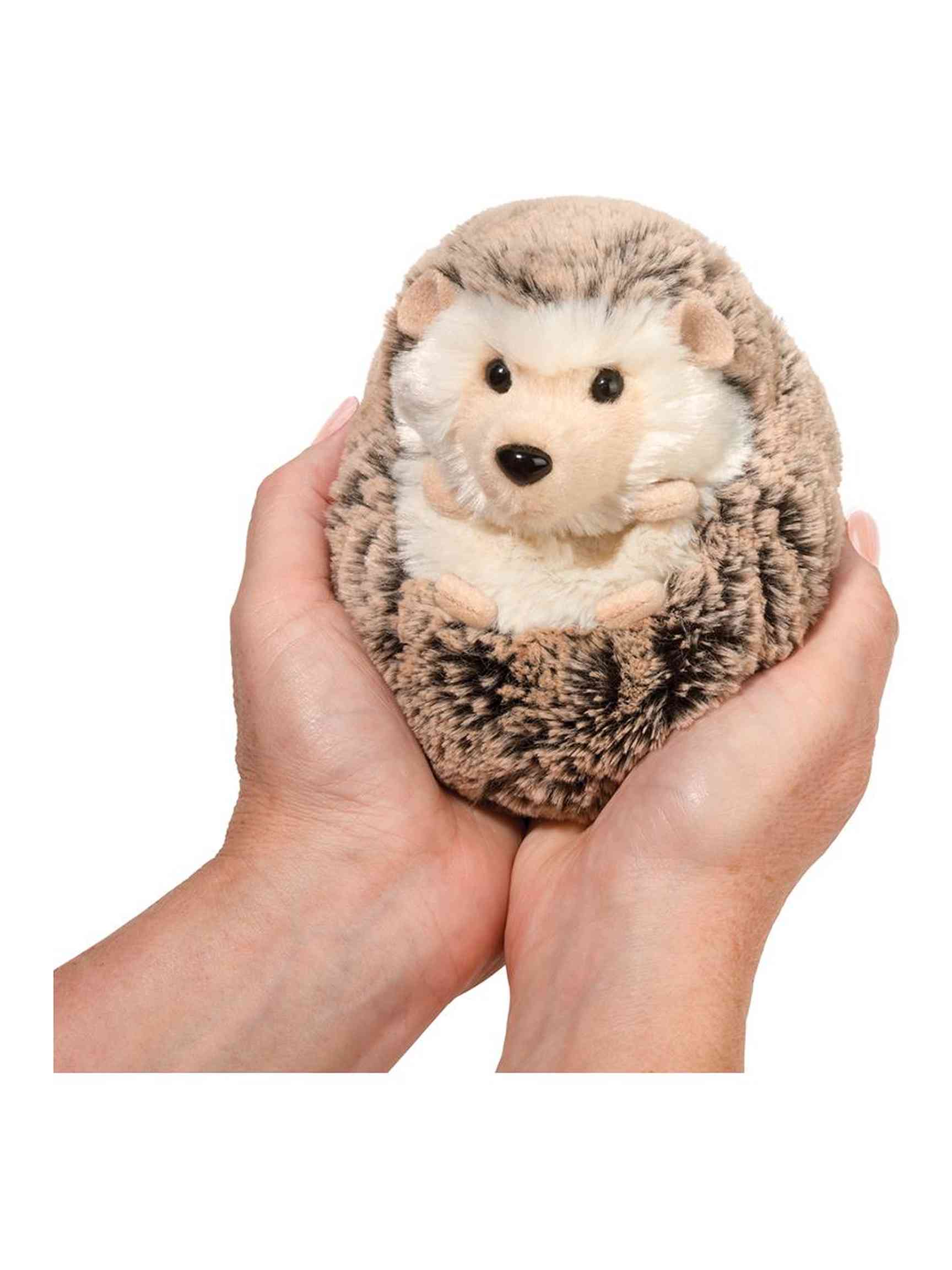 Spunky Hedgehog