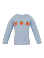 Solid Blue Knit T-Shirt Long-Sleeves