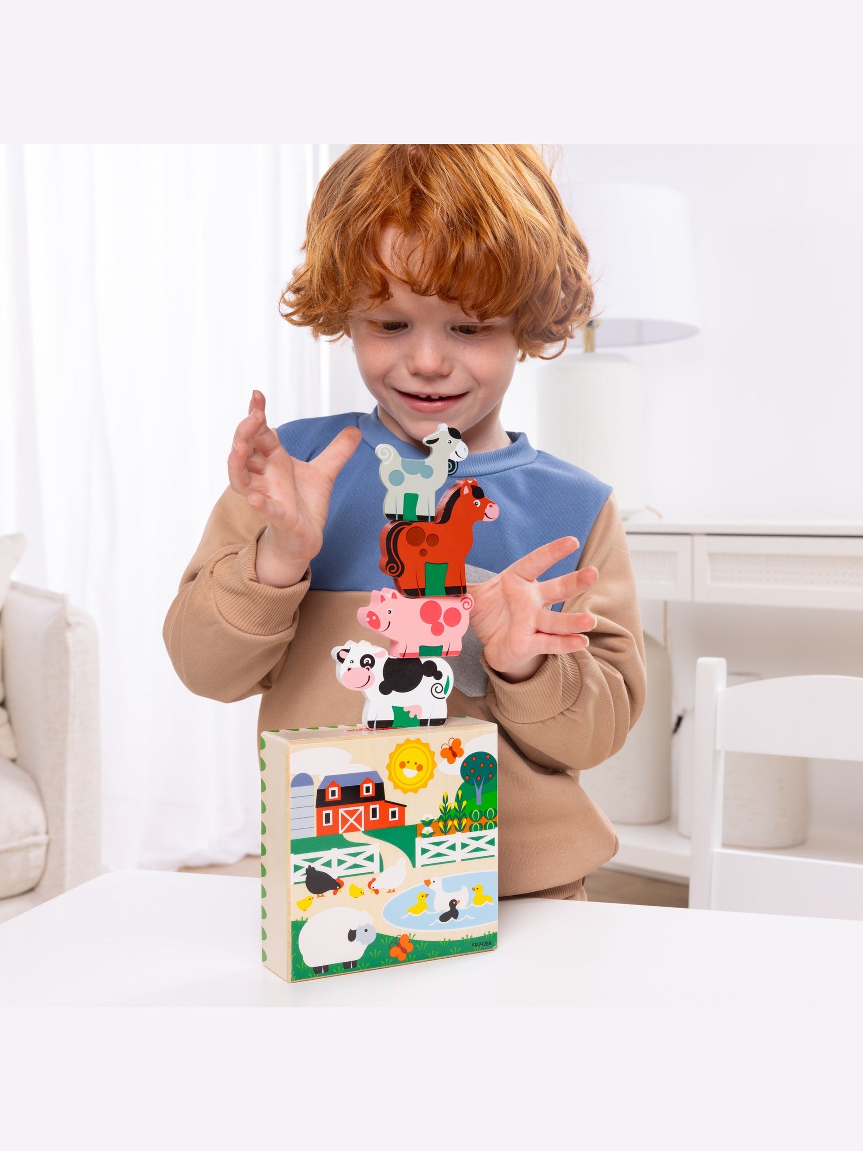 Wooden Animal Matching Farm