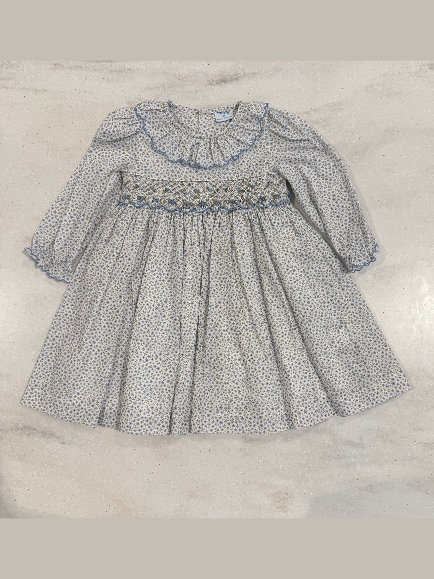 Forest Fairy Smock Dress w/long sleeves