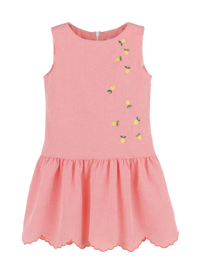 Tutti Frutti Embroidered Dress