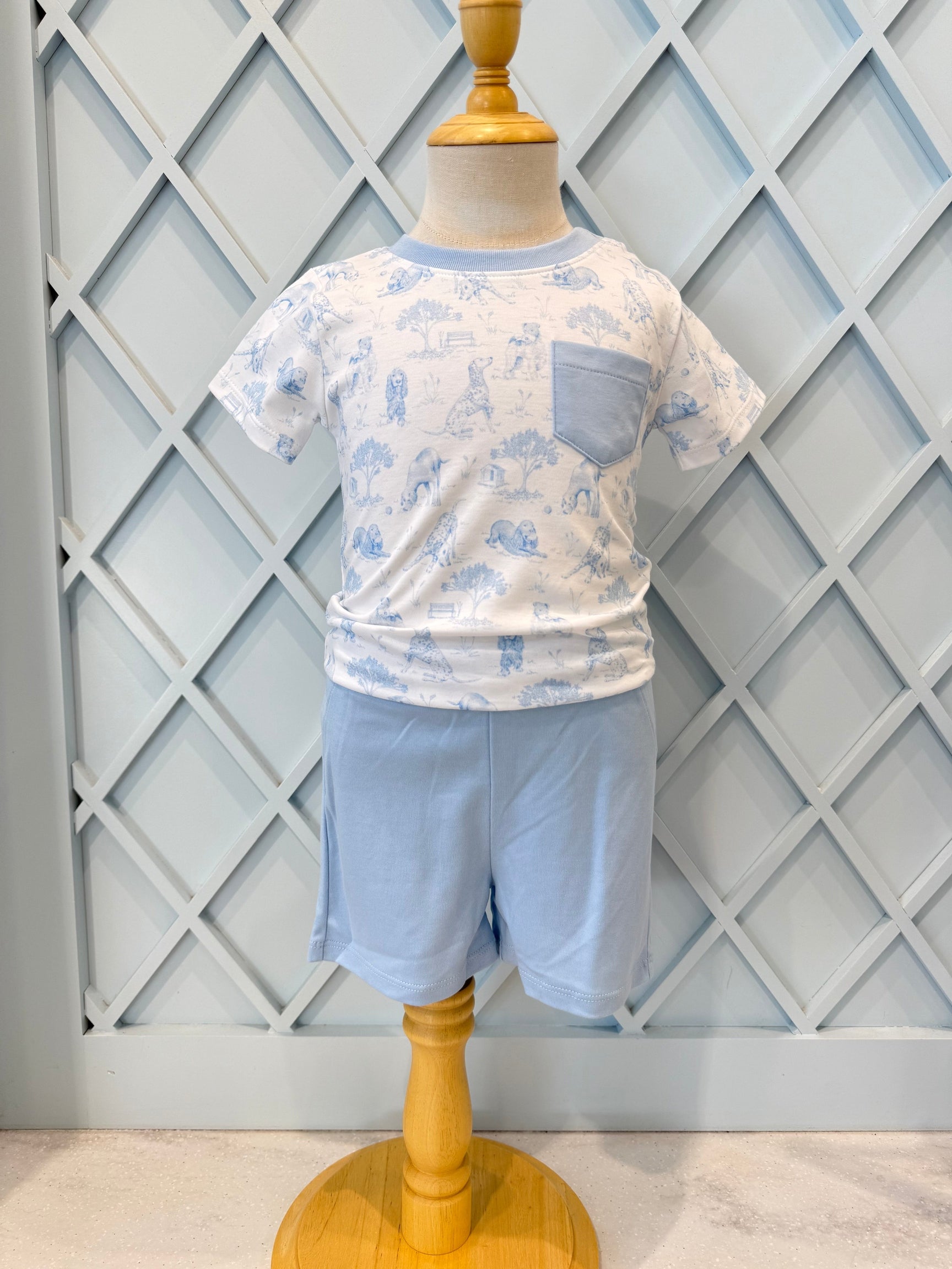 Barking Bliss - Blue Tee and Short Set