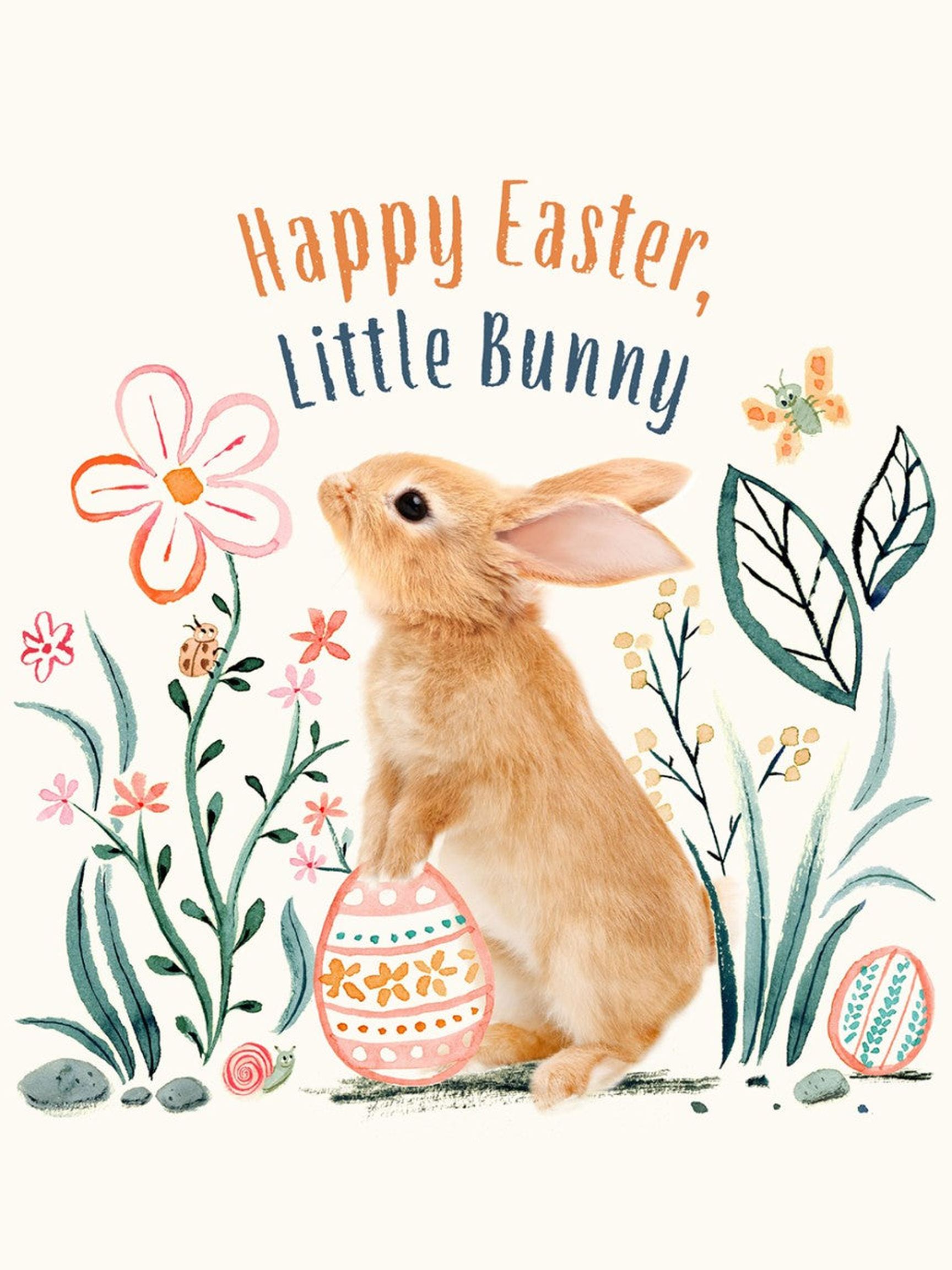 Happy Easter, Little Bunny