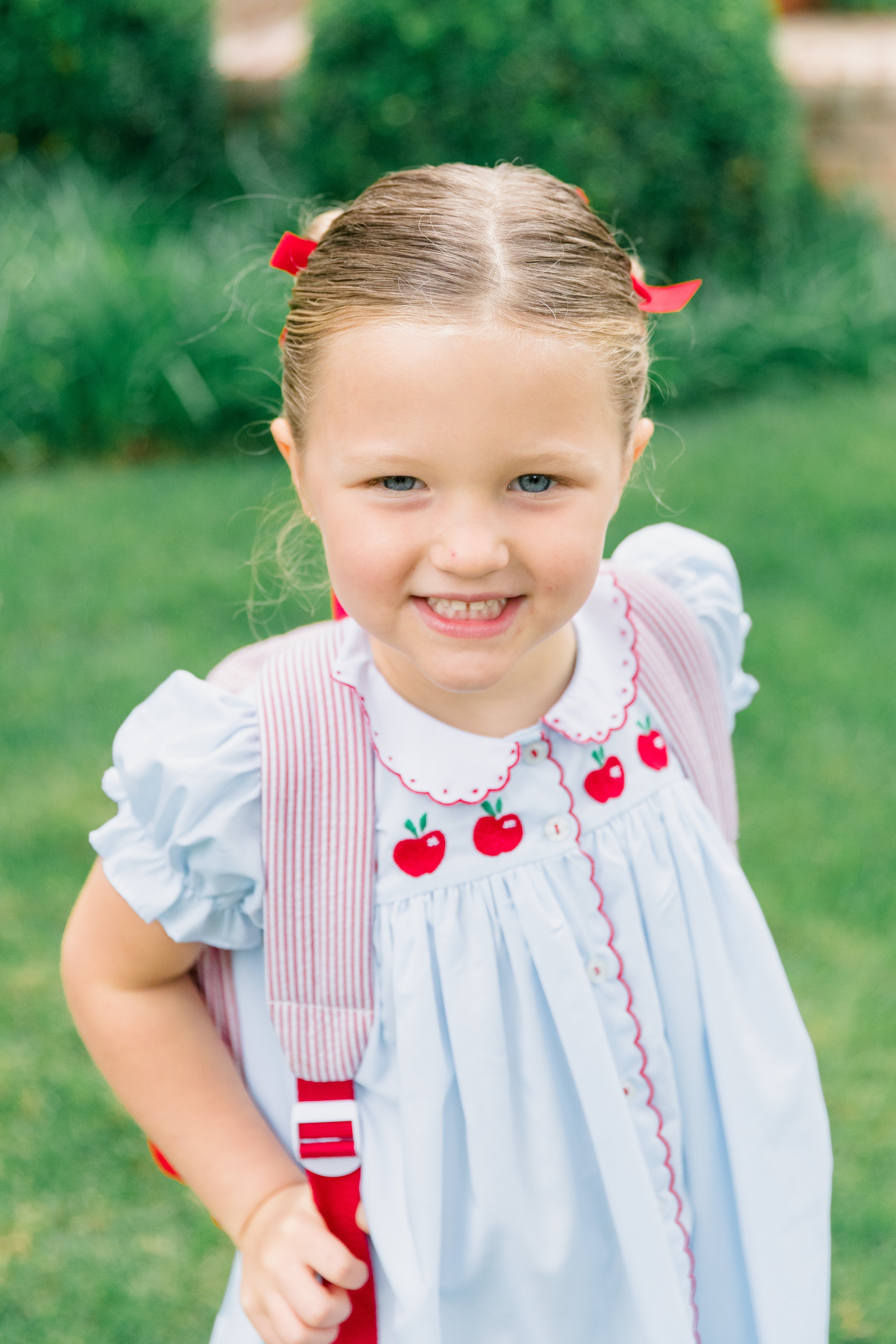 Pre-Order Andover Apples Dress
