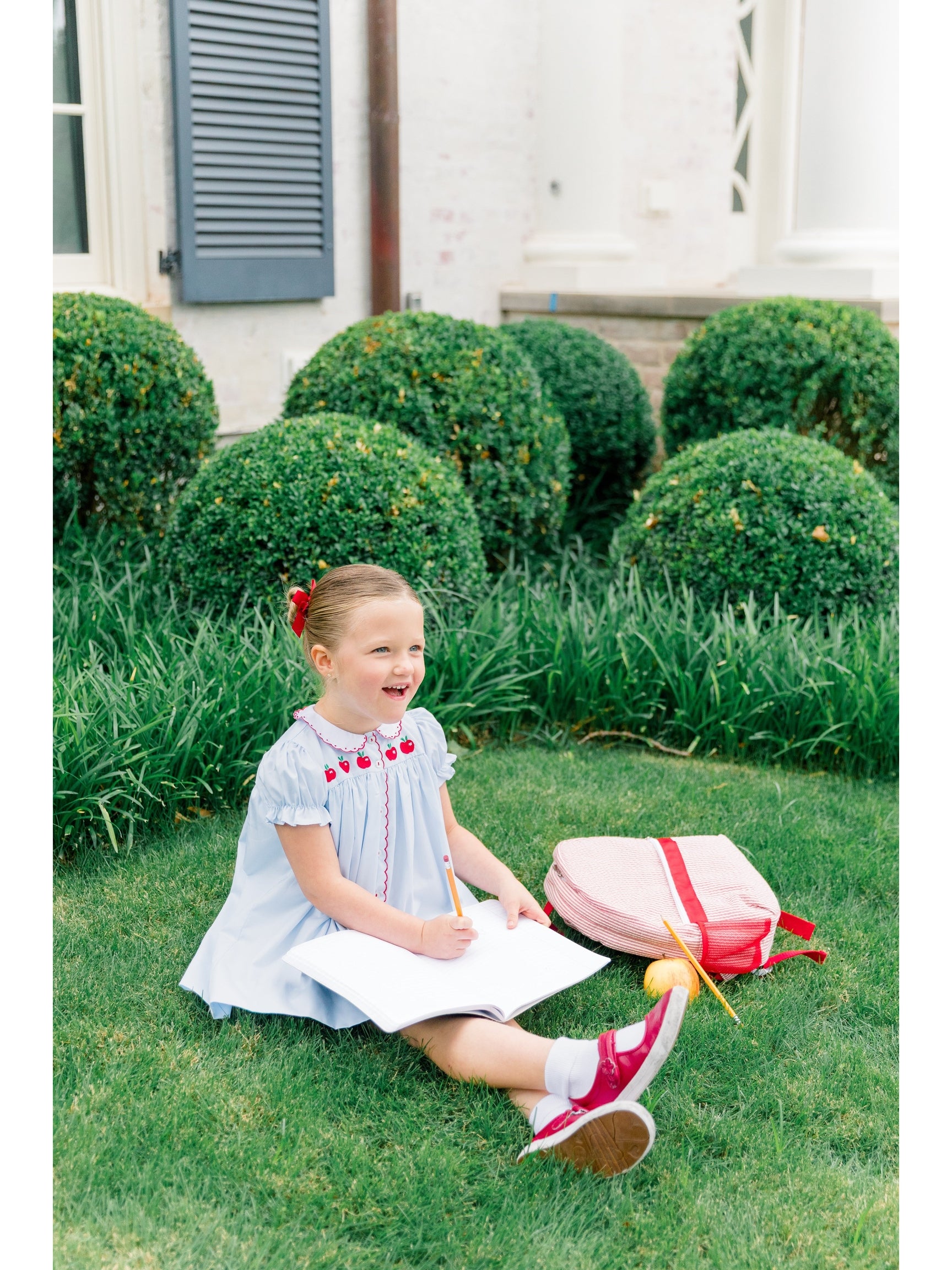 Pre-Order Andover Apples Dress
