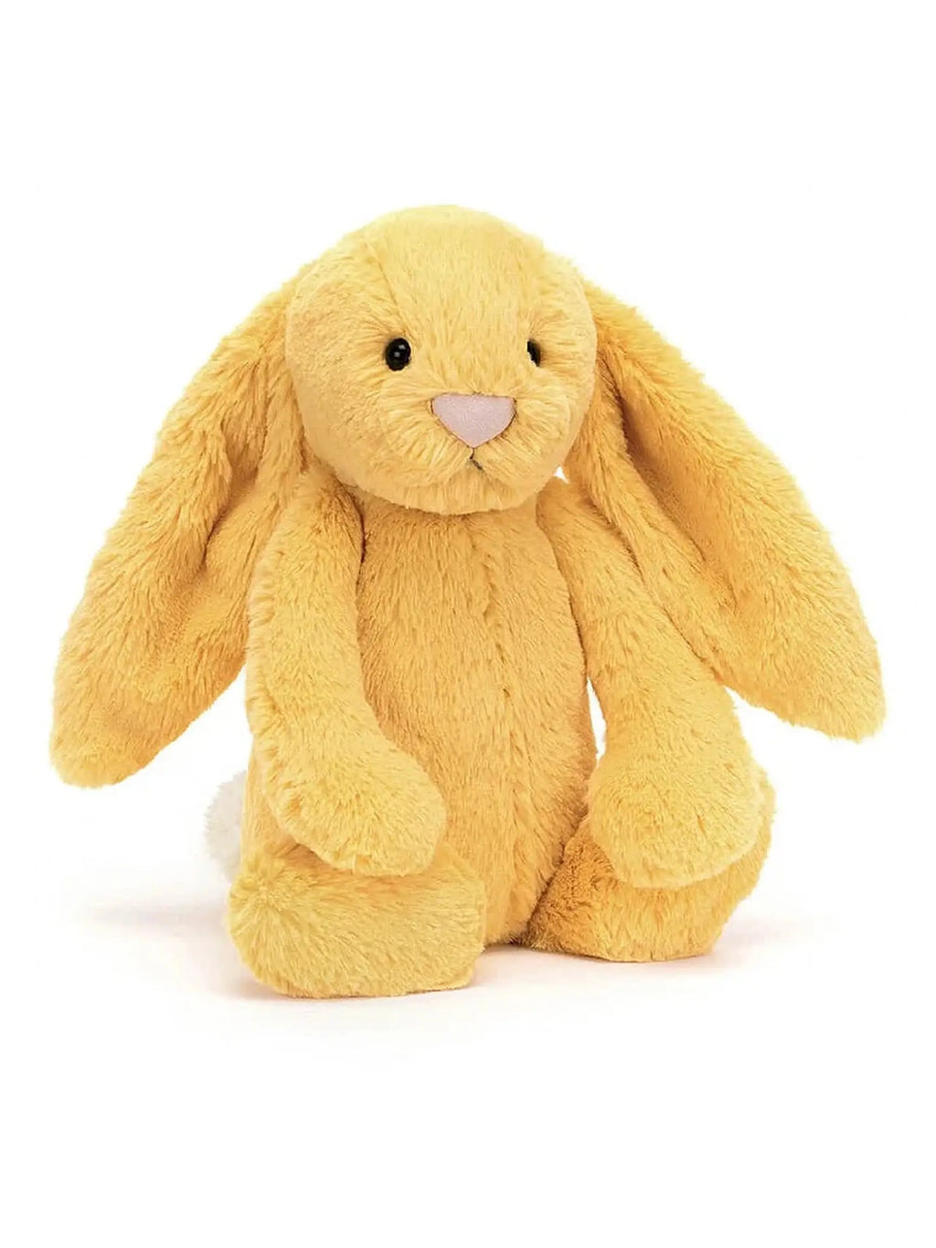 Bashful Bunny