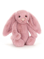 Bashful Bunny