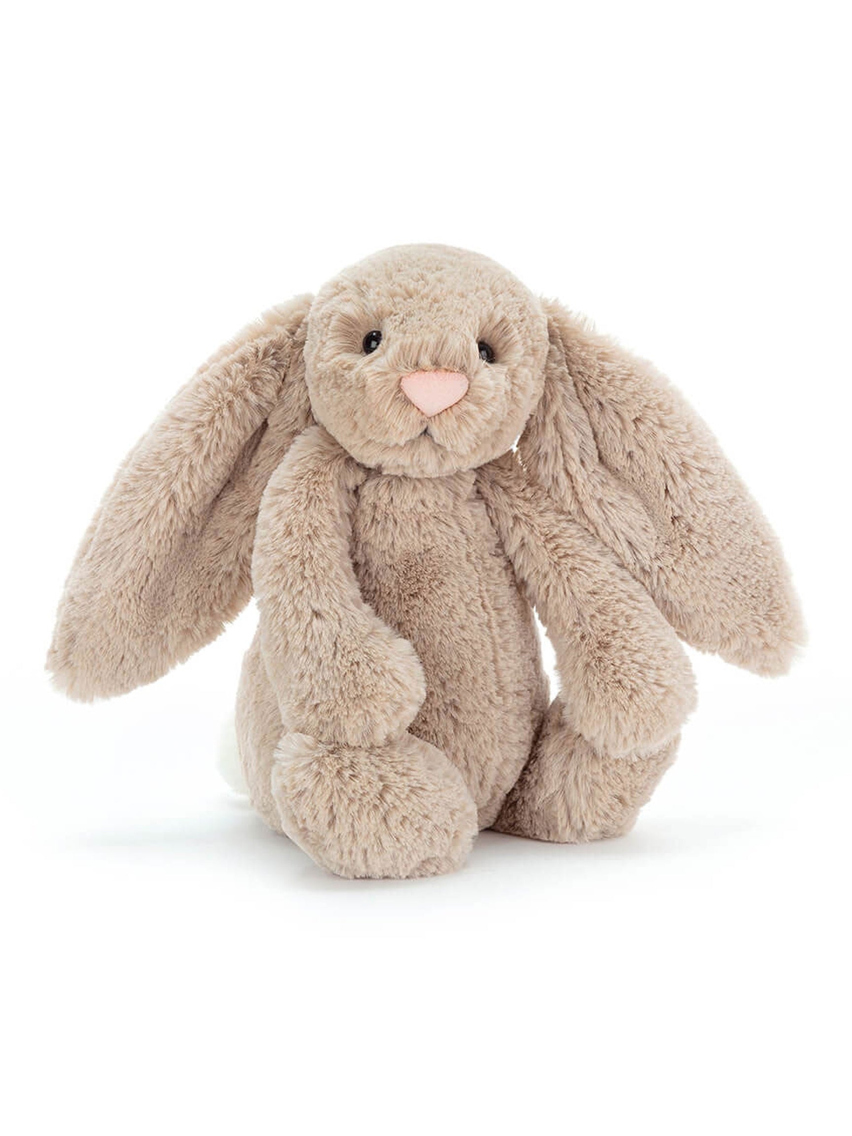 Bashful Bunny