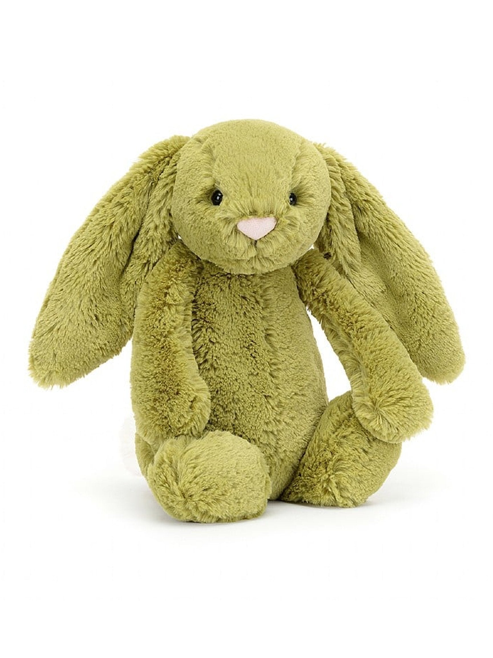 Bashful Bunny