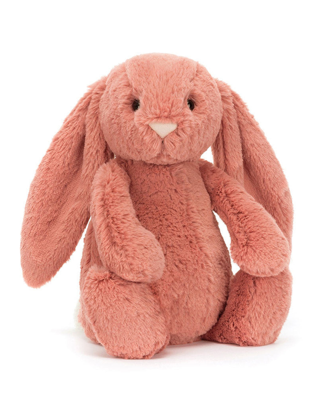 Bashful Bunny