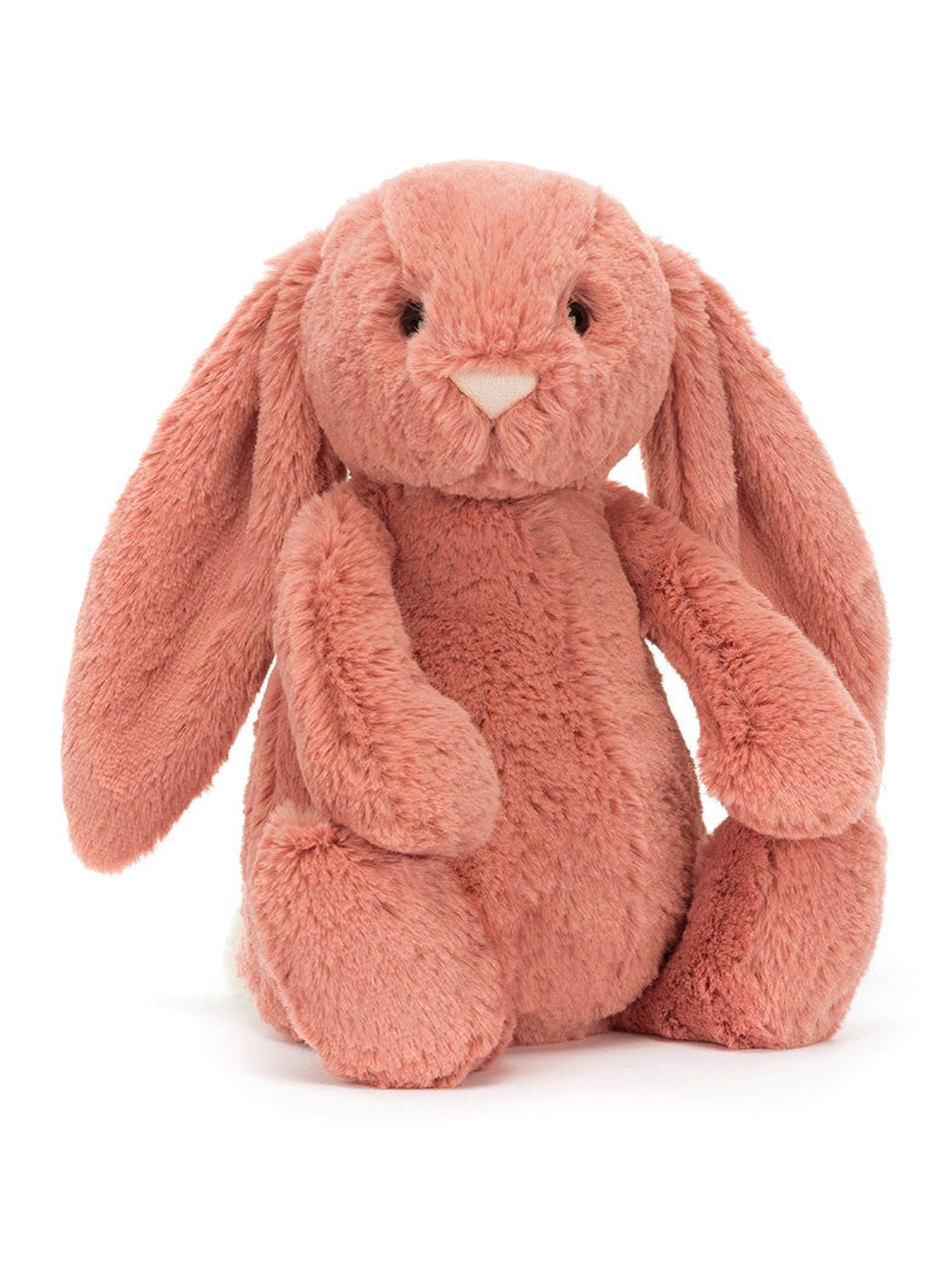 Bashful Bunny