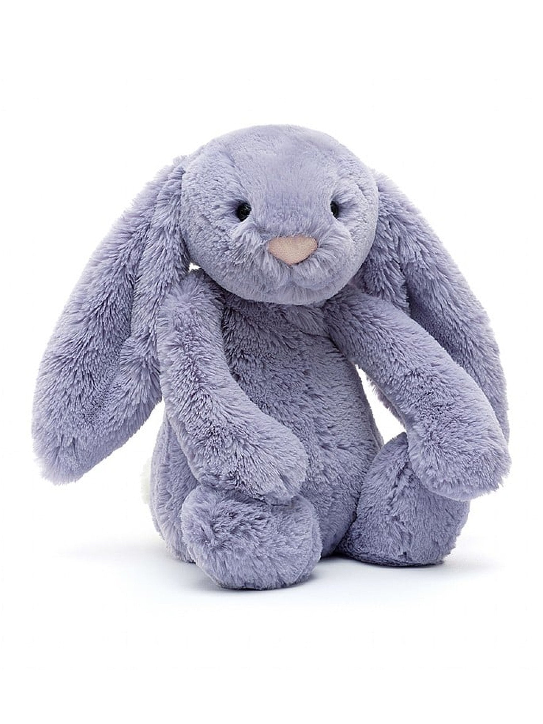 Bashful Bunny