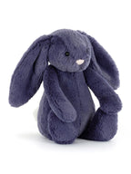 Bashful Bunny