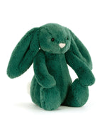 Bashful Bunny