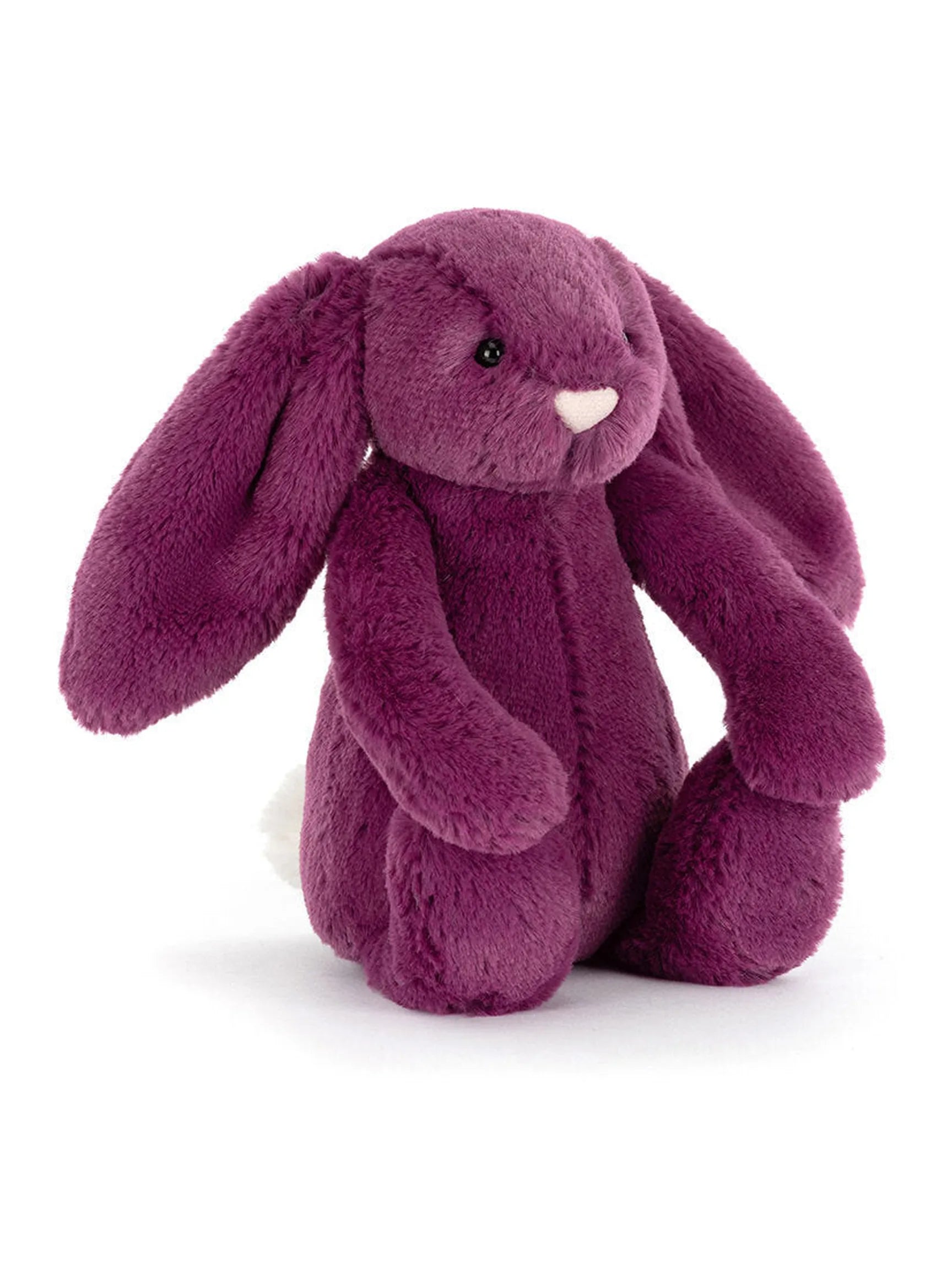 Bashful Bunny