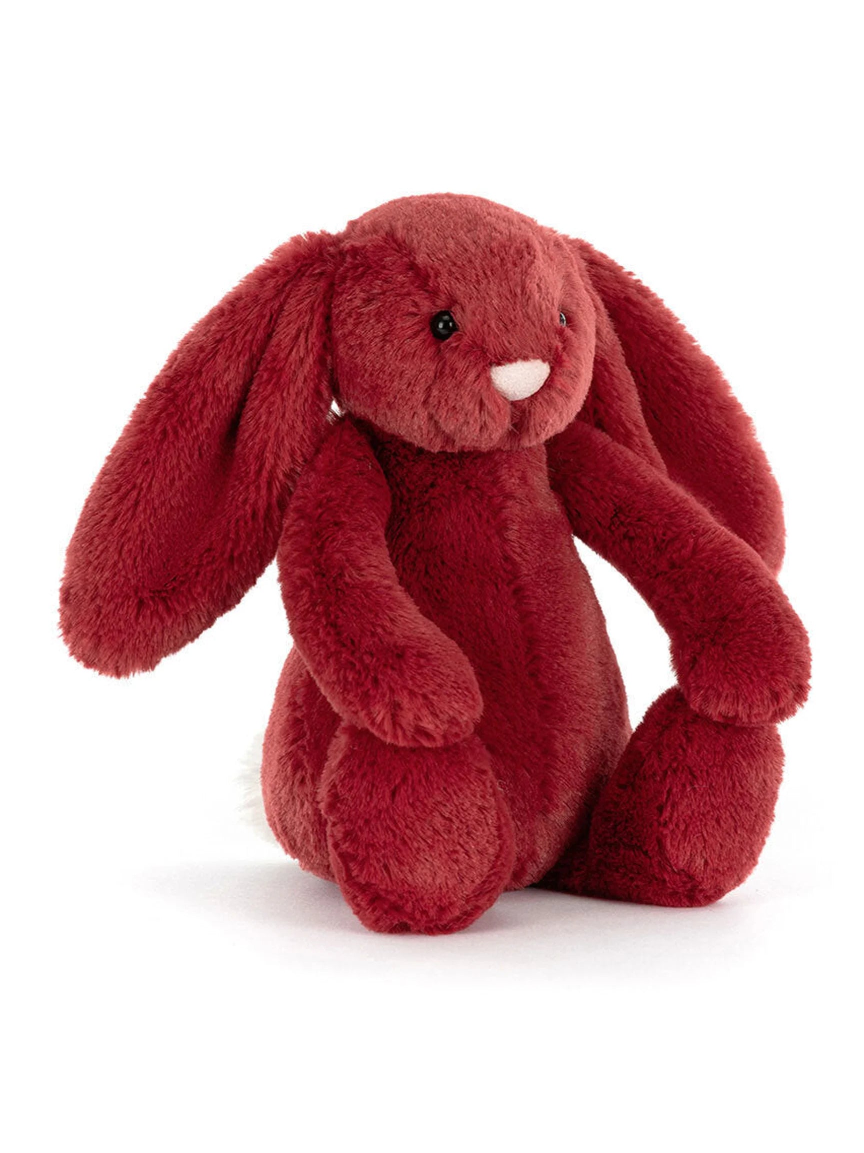 Bashful Bunny