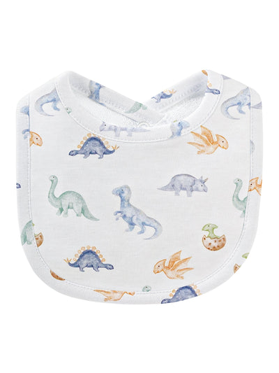 Printed Boy Bibs