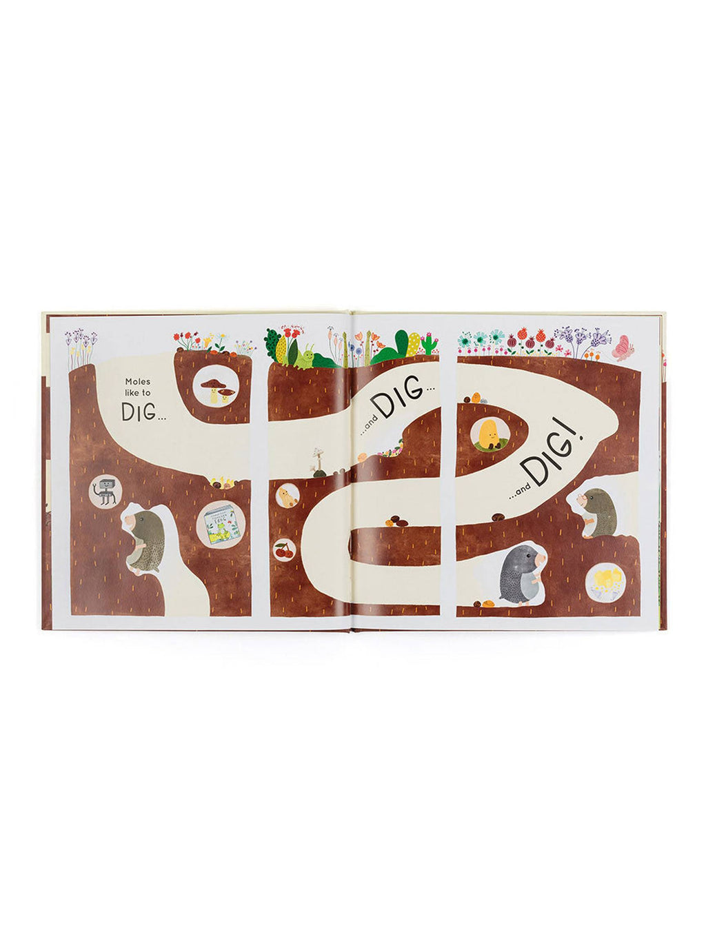 Muswell Mole And The Buried Treasure Book