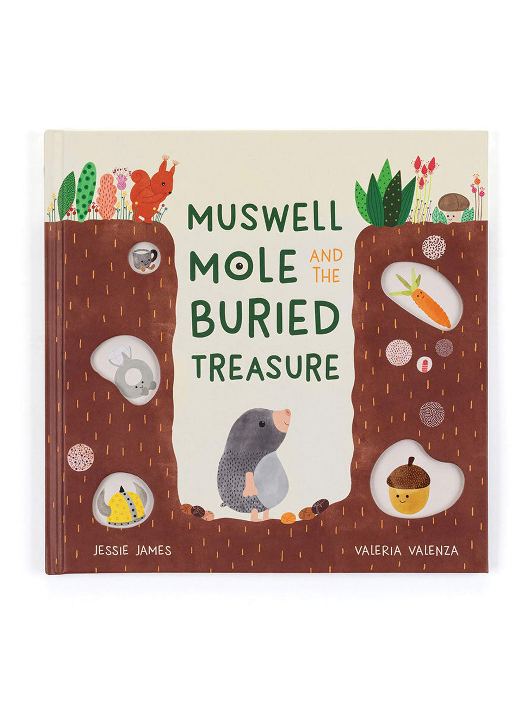 Muswell Mole And The Buried Treasure Book