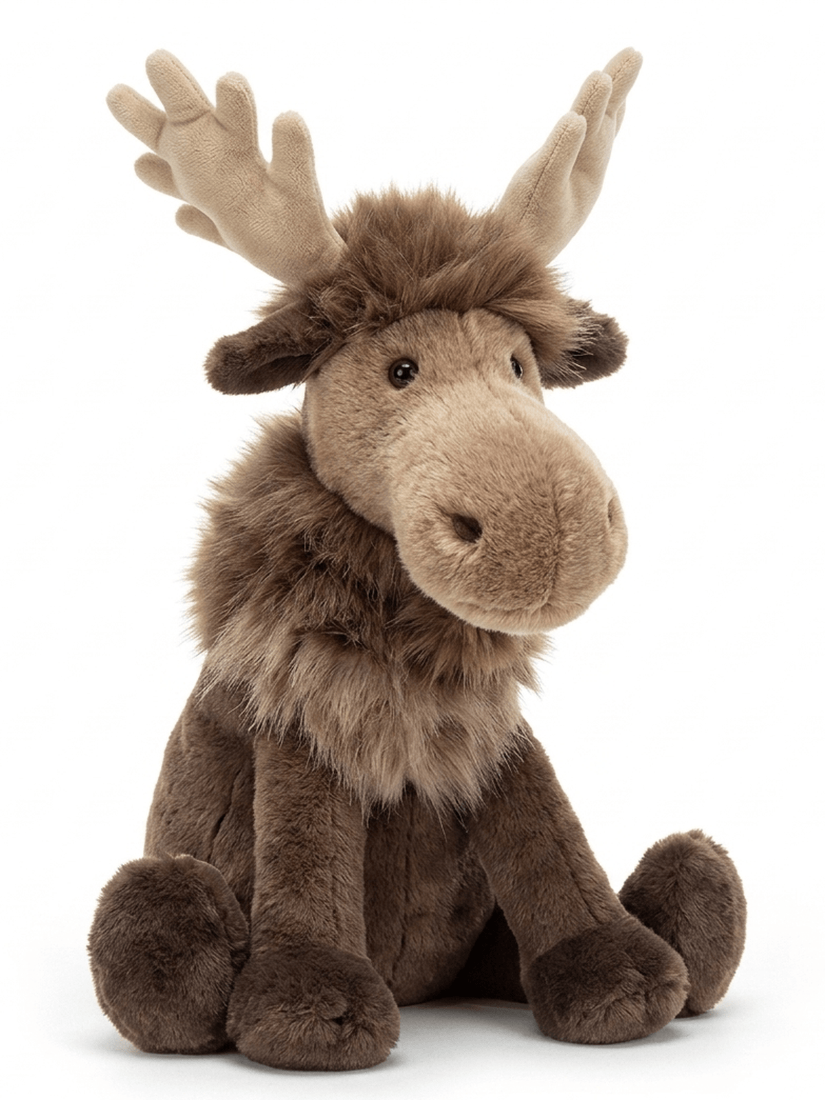 Birchly Moose
