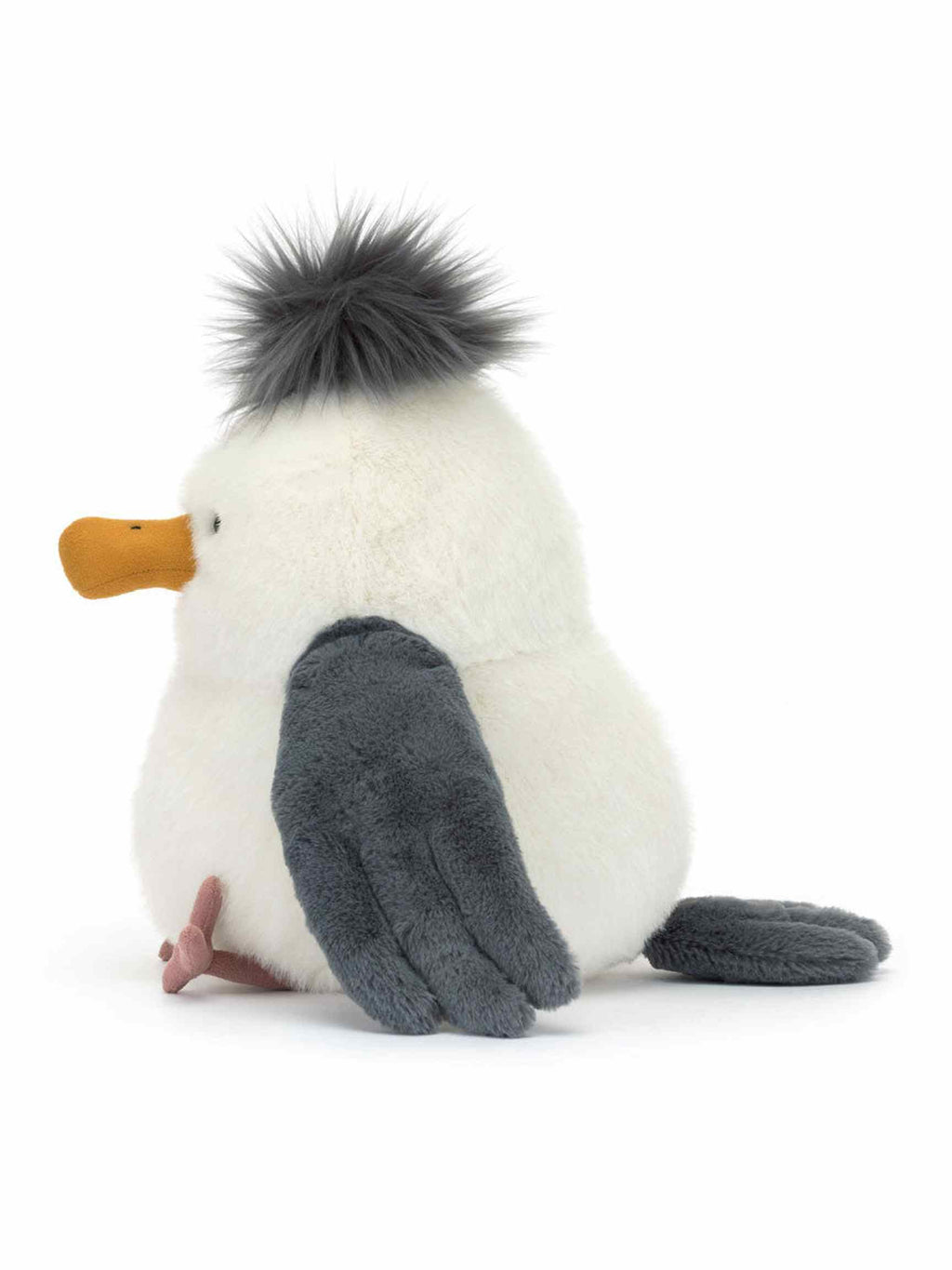Chip Seagull