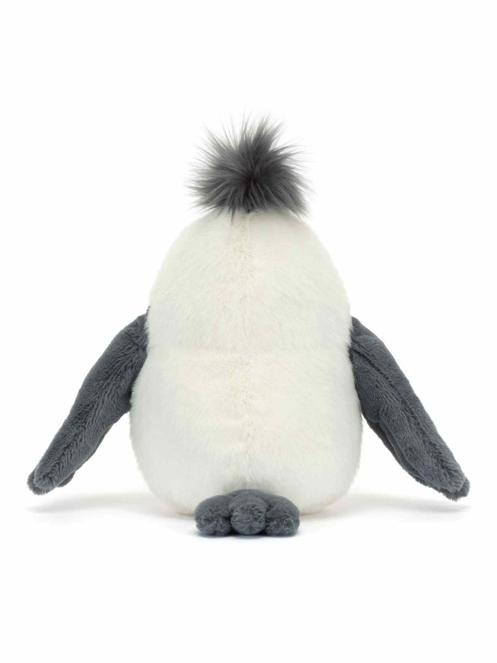 Chip Seagull