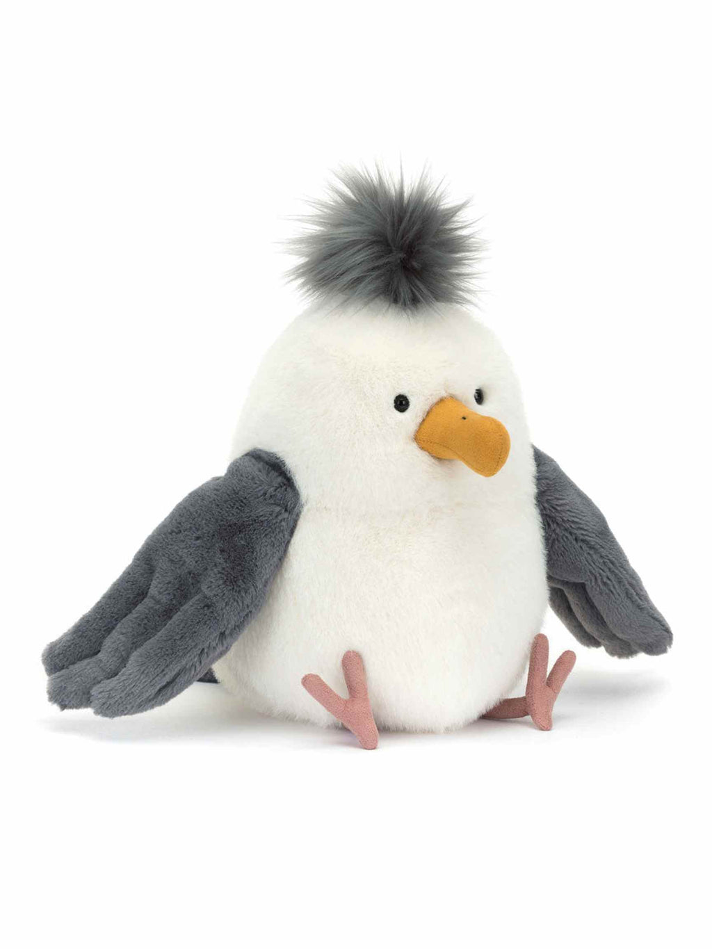 Chip Seagull