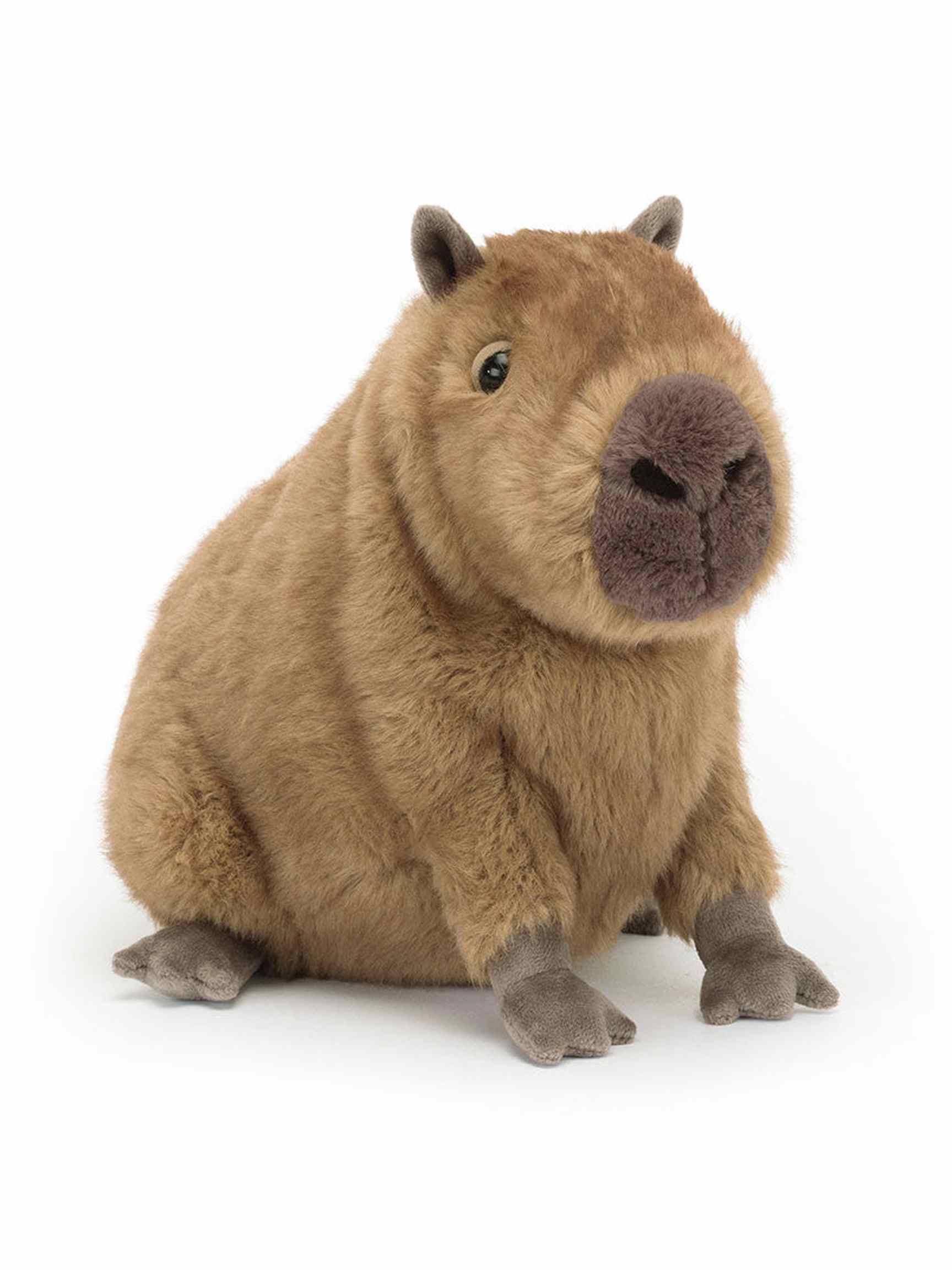 Clyde Capybara