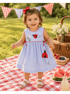 Blue Check Ladybug Dress