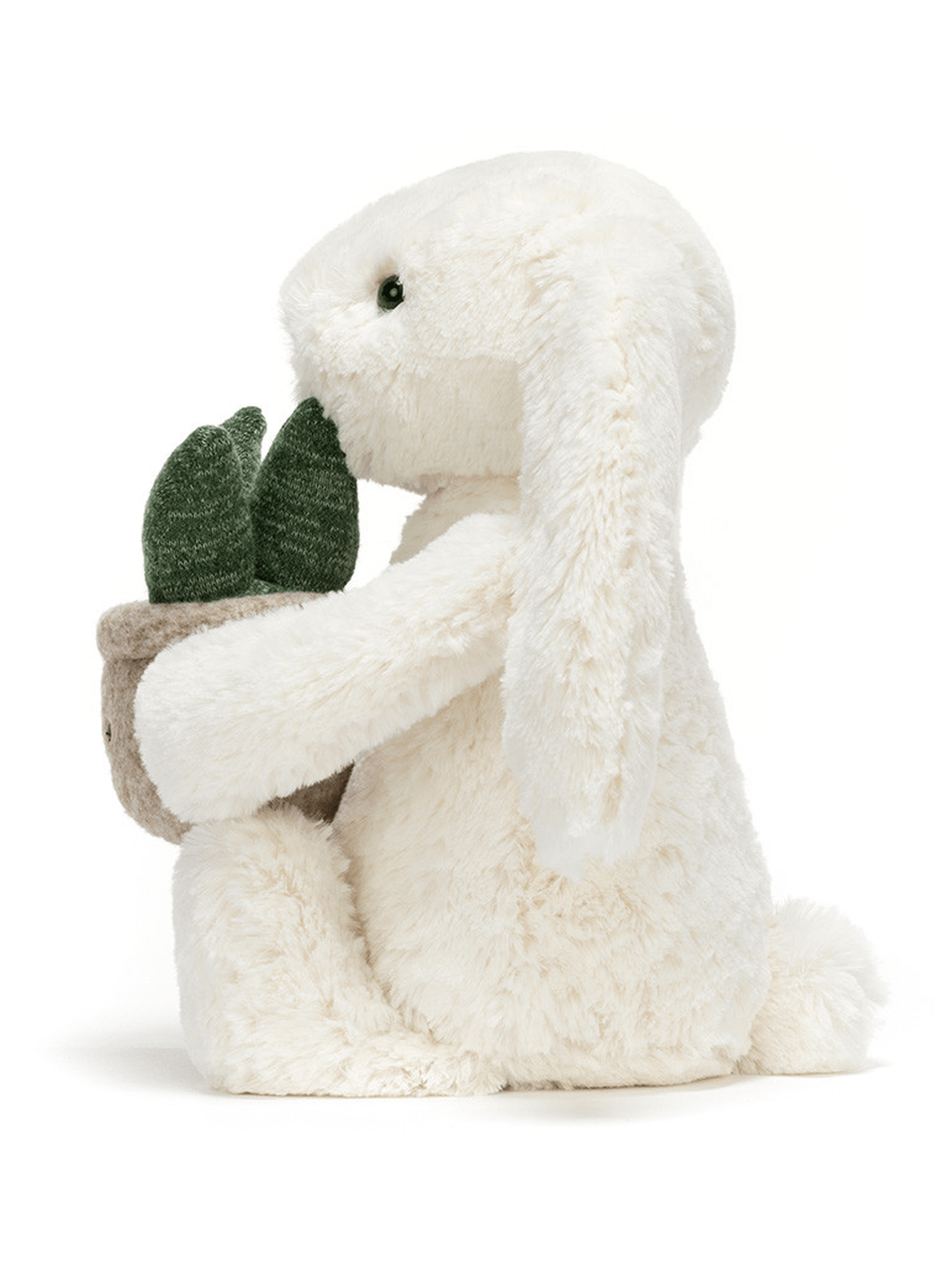 Cream Bunny with Plant