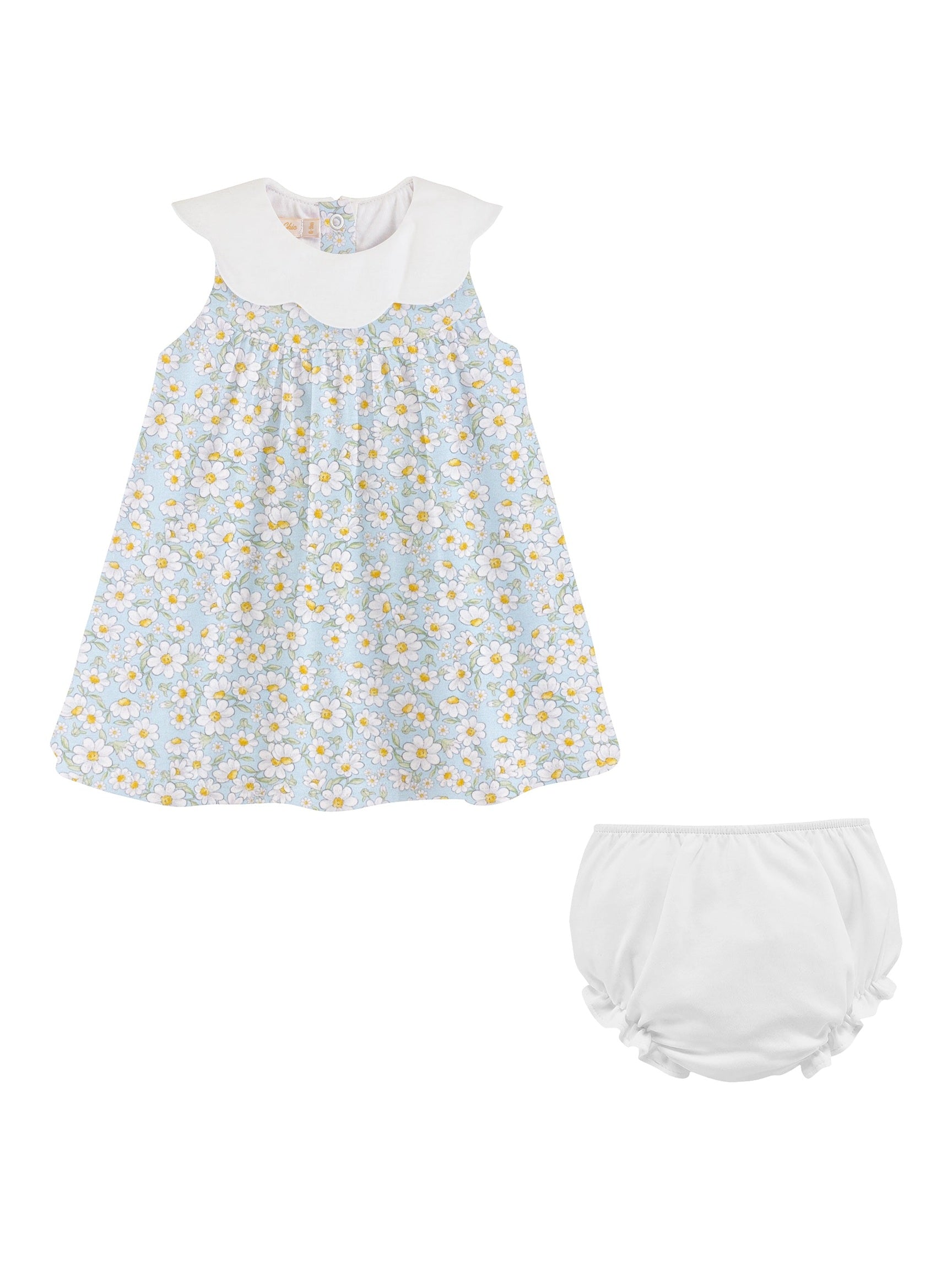 Daisy Dreams Dress with Scalloped Collar - Posh Tots Children's Boutique