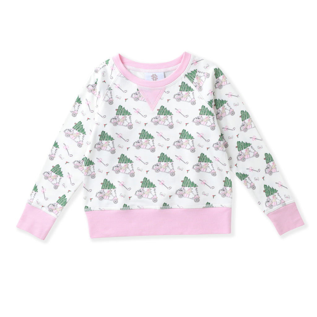 Paw-Tee Christmas Pullover
