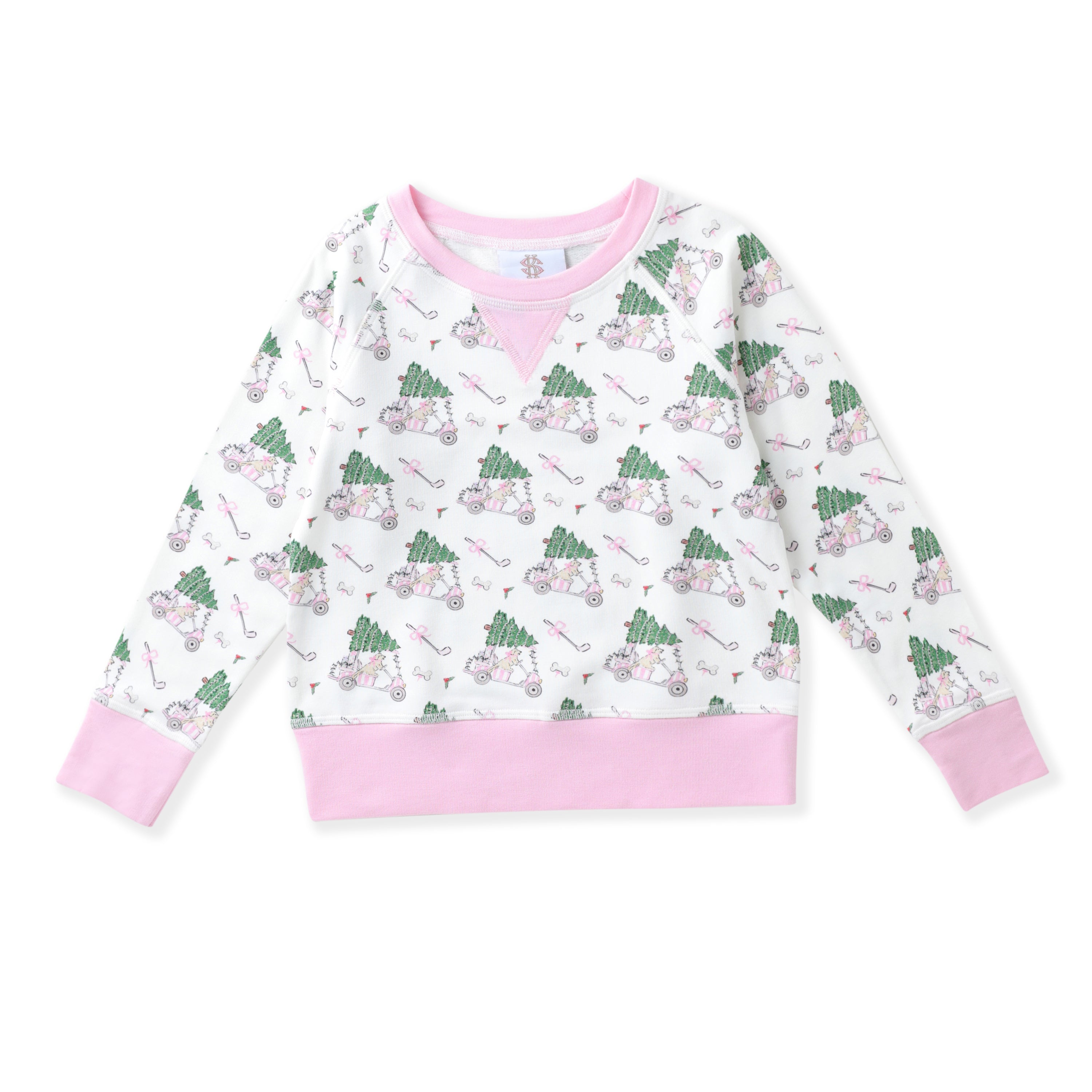 Paw-Tee Christmas Pullover