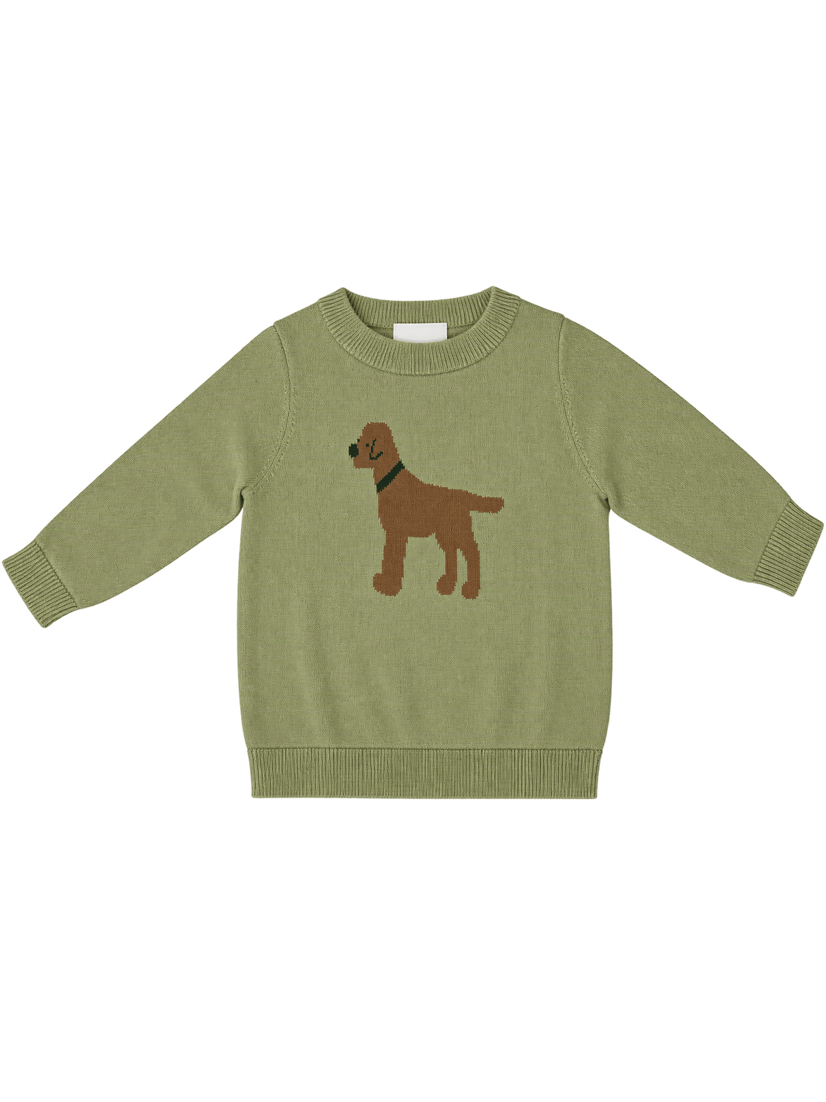 Green Dog Sweater