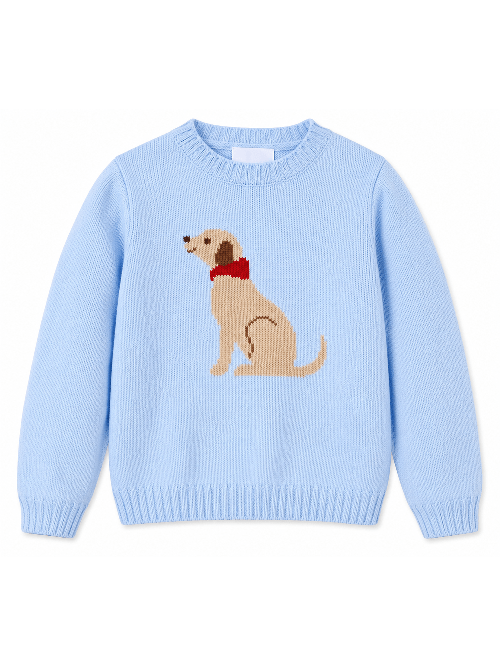 Intarsia Sweater - Seated Lab