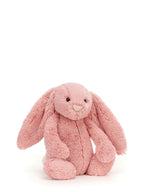 Bashful Bunny