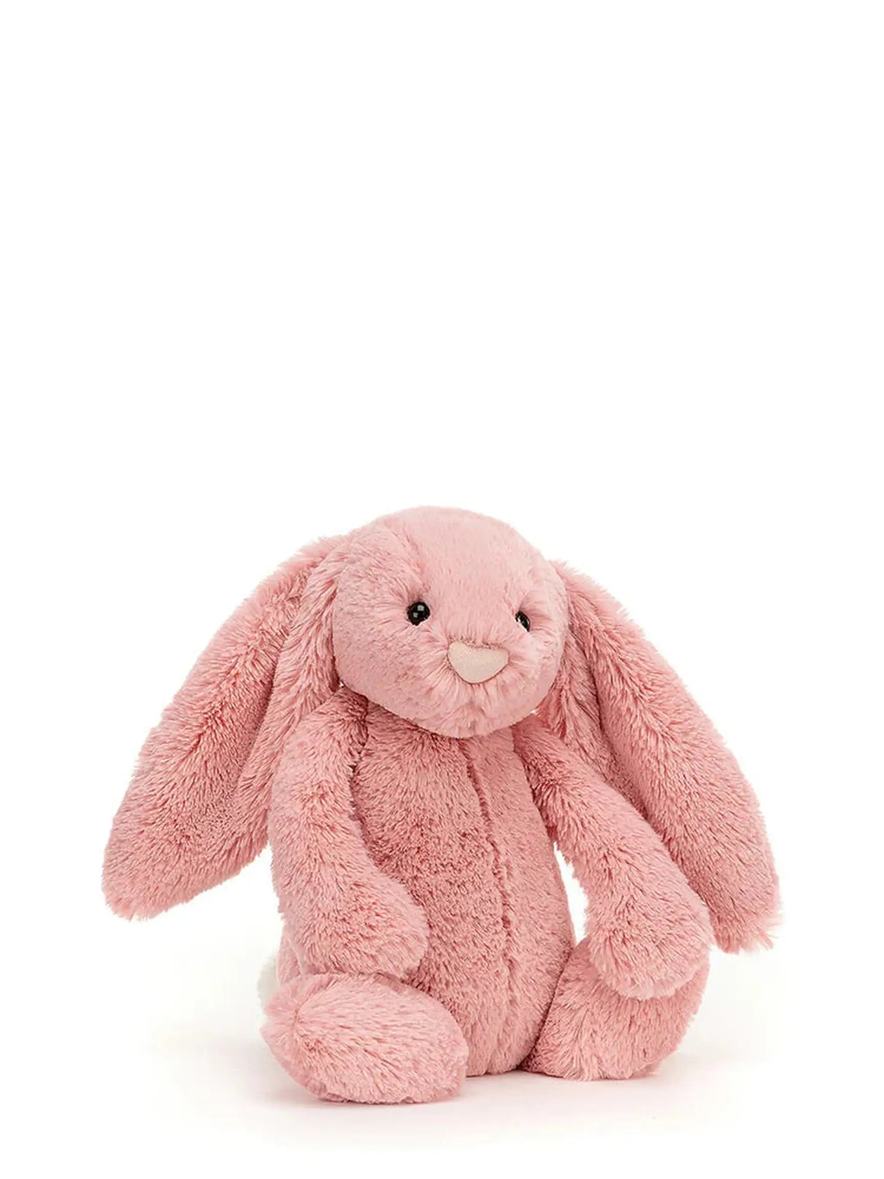 Bashful Bunny