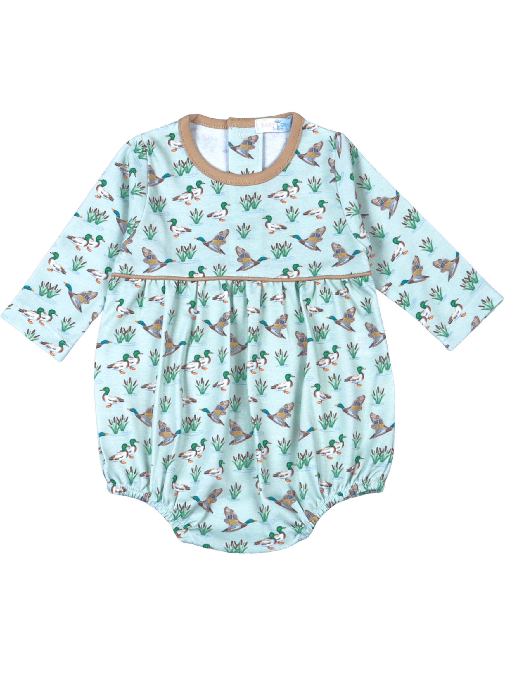 Mallard Ducks Pima Bubble