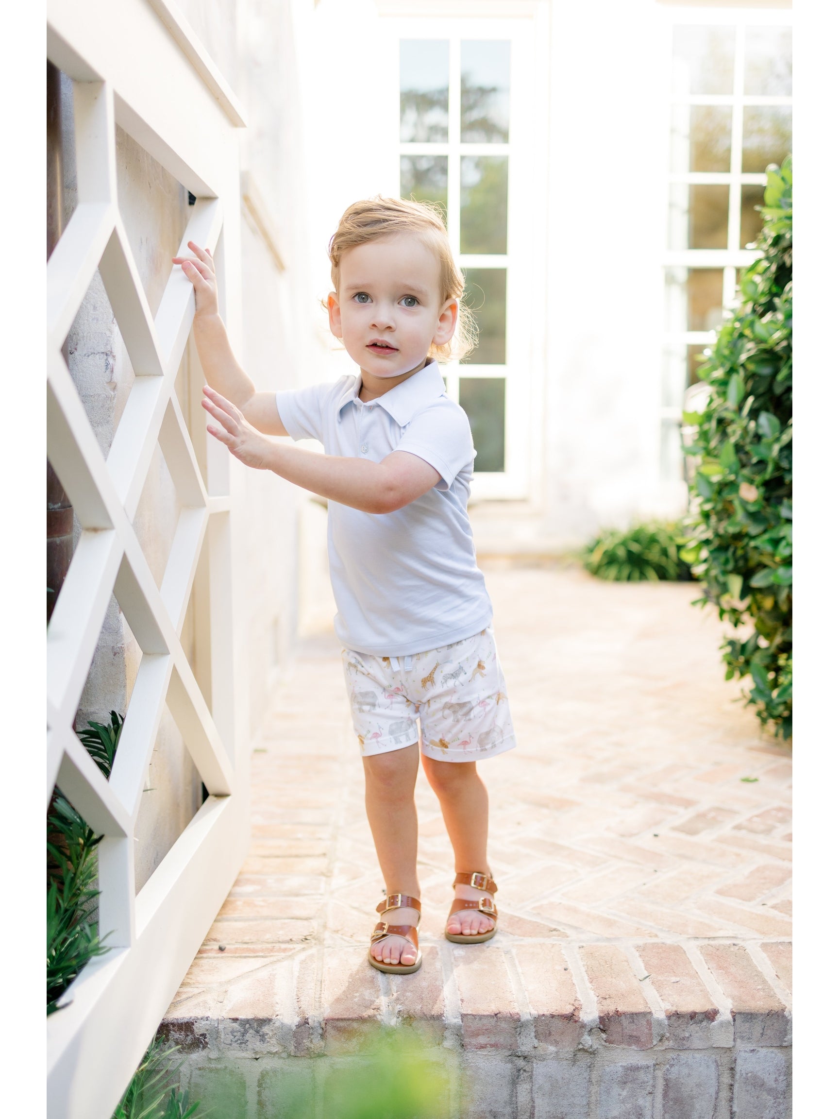 PRE-ORDER Party Animals Pima Knit Shorts